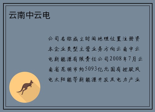 云南中云电